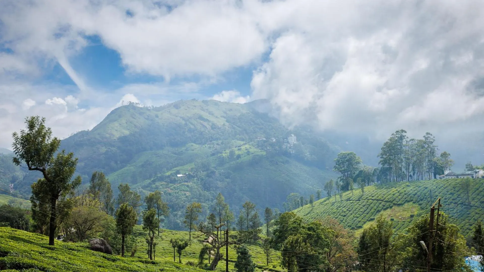 Amber Dale Luxury Hotel & Spa, Munnar India